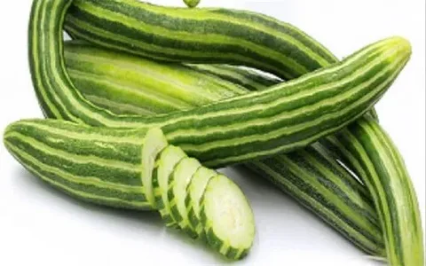 تصویر 1 از قیمت خیار چنبر سبز + خرید باور نکردنی